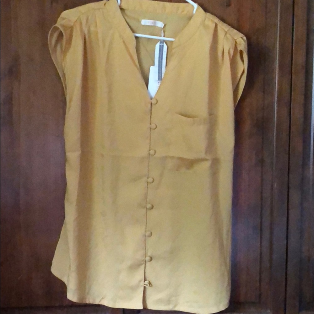 Brand new with tags Tulle blouse